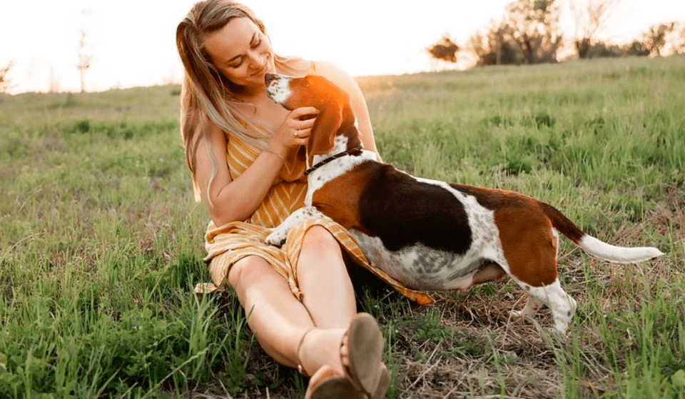 Texas Dogowner Held A Maternity Shoot For Pregnant Foster And It’s Adorably Wholesome