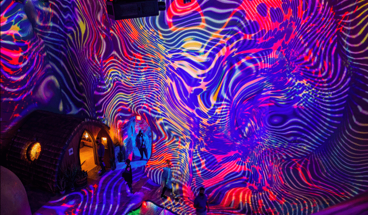Meow Wolf Opening Permanent Psychedelic Exhibition In Dallas Area