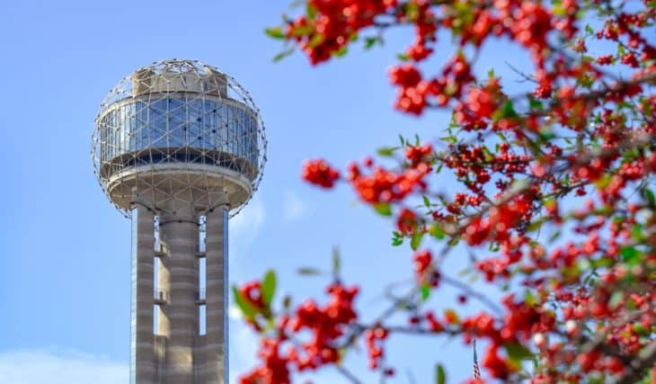 20 Magnificent Things To Do In And Around Dallas This March
