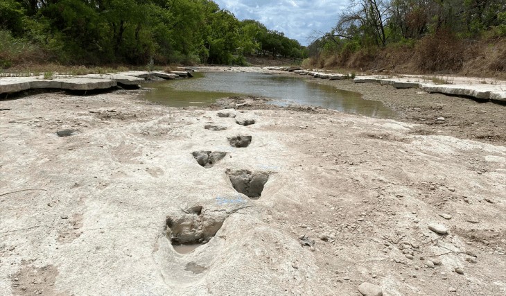 Texas Dinosaur Tracks Uncovered After 113 Million Years Due To Drought Conditions