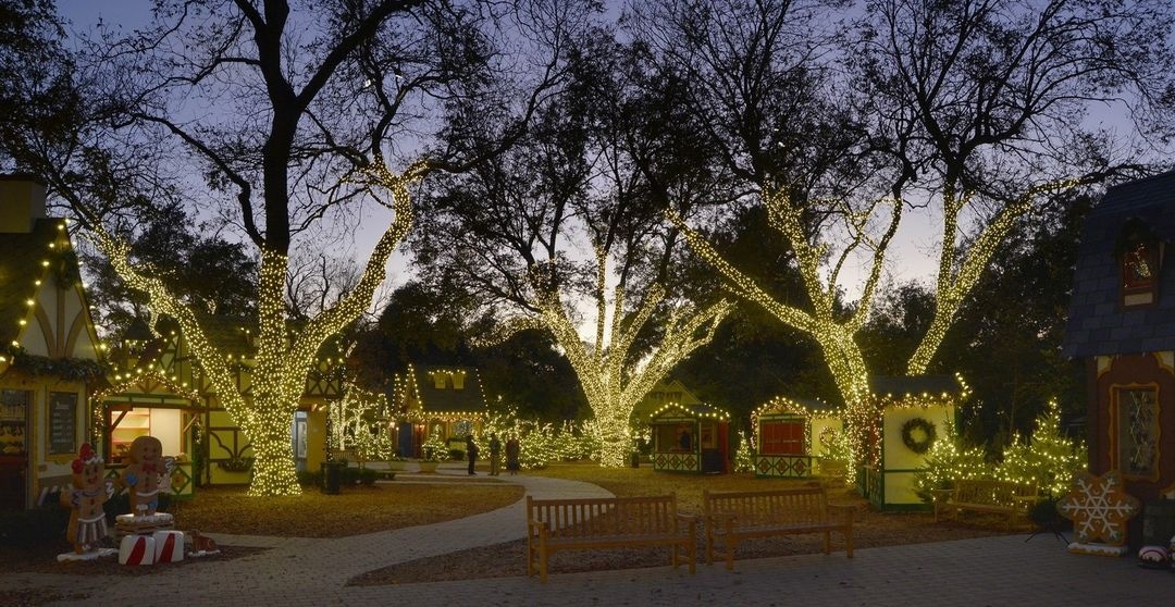 Holiday At The Arboretum Returns With A Million Lights, Christmas