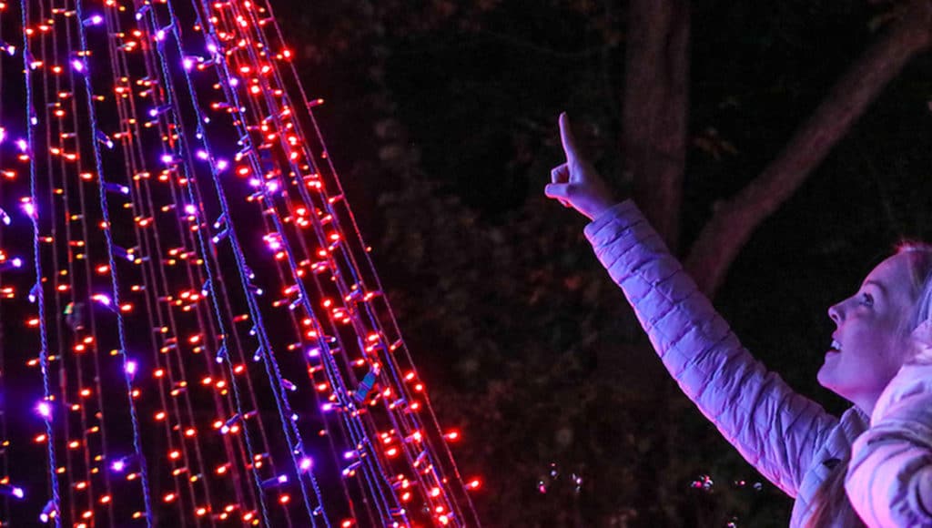 The Dazzling Zoo Lights Walk-Thru Event Has Returned To Dallas Zoo
