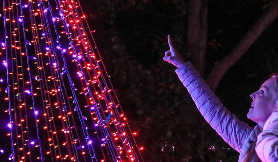 The Dazzling Zoo Lights Walk-Thru Event Has Returned To Dallas Zoo