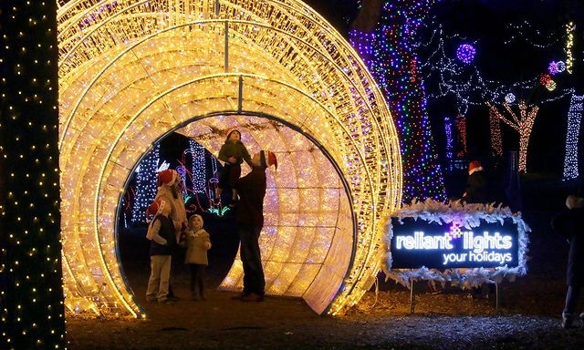 Photo of a family under Christmas lights during an evening at Dallas Zoo Lights