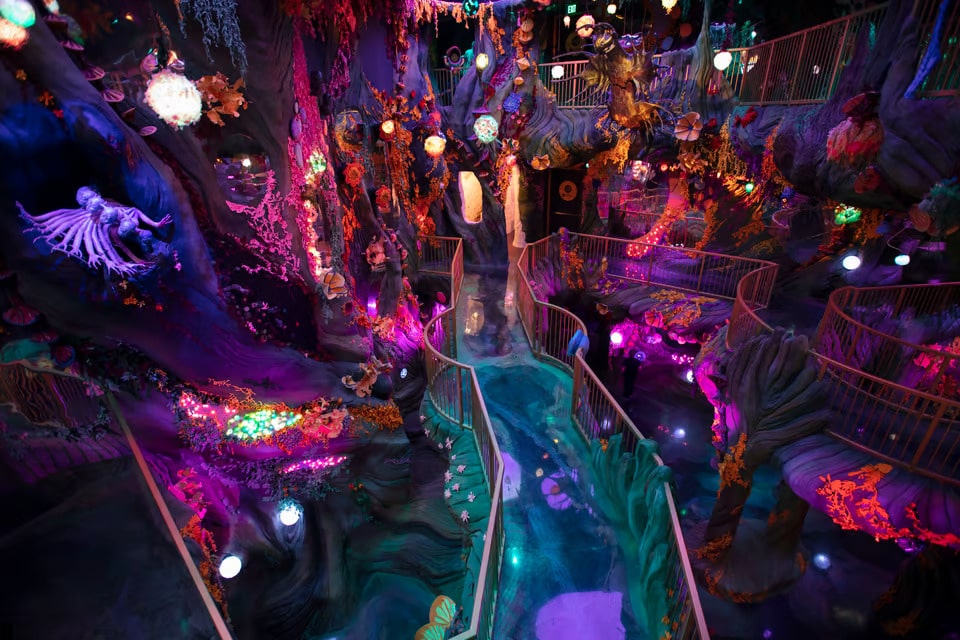 Image showing a room at Meow Wolf's 