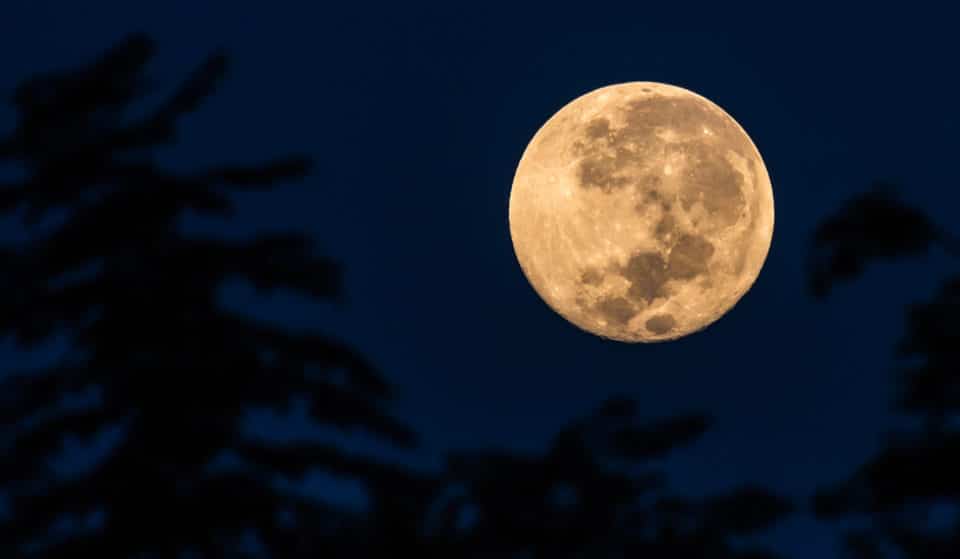 The First Supermoon Of The Year Will Light Up Texas Skies Tonight